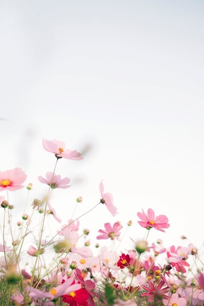 1 September: Today is technically not ‘Spring Day’