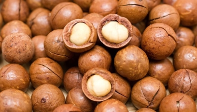 Potential market boost for macadamia farmers