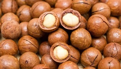 Potential market boost for macadamia farmers
