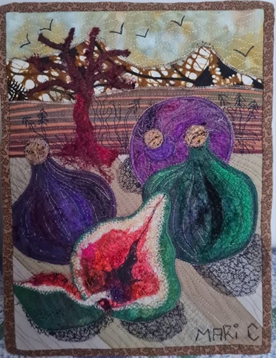 Fibre art exhibition at George Museum