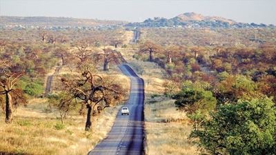 Limpopo traditional leaders to get ‘five-star’ offices