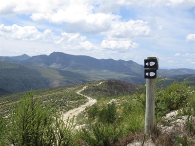 Calling 4X4s to Wilderness adventure