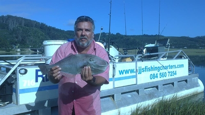 This strange fish is no tall tale