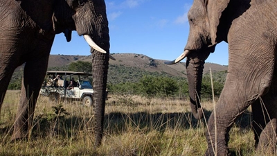 Tourism sector exploring new ways to work smarter