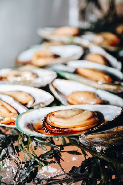 Abalone poacher sentenced to seven years in jail after being on the run for four years