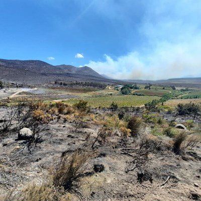 Update on Gysmanshoek wildfire