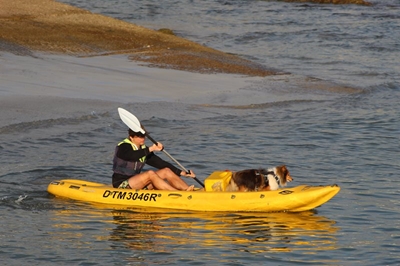 Kaptein span die seile