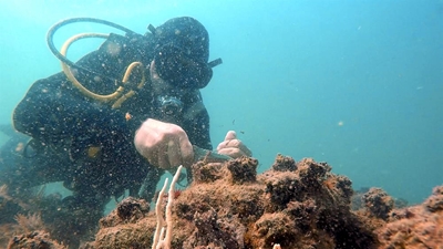 Diving for a cleaner ocean