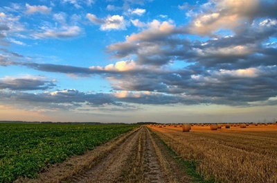 Survival strategies of farmers in the Langkloof