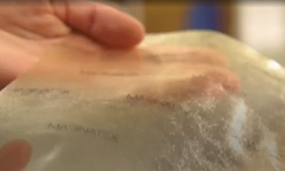 Biodegradable plastic made from fish guts