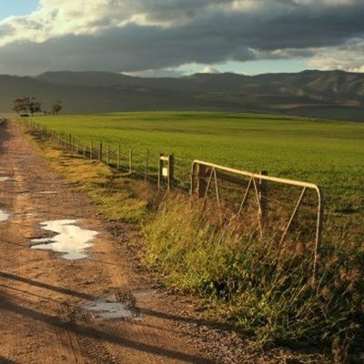 Above-average rainfall expected in late summer