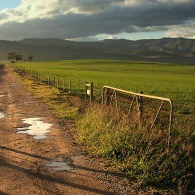 Above-average rainfall expected in late summer