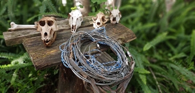 Anti-snaring workshop this Wednesday in Wilderness 