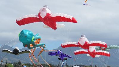 Don't miss the kite festival!