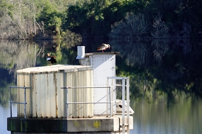 Garden Route Dam level update