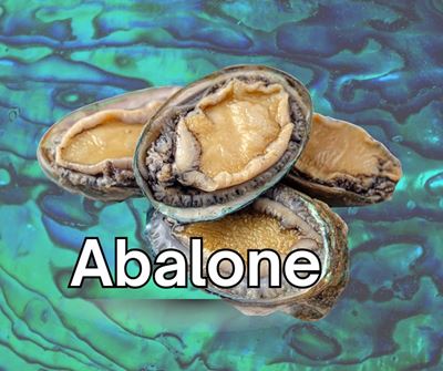 2 suspects to appear in court over R3m abalone bust