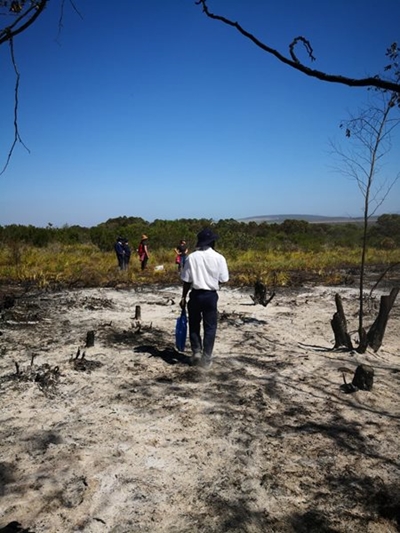 Dana Bay fire: Volunteers needed for wildlife search and rescue