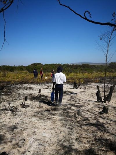 Dana Bay fire: Volunteers needed for wildlife search and rescue