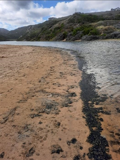 Residue on riverside is only algae