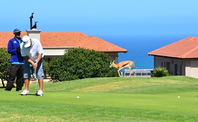 Mossel Bay a paradise for golfers
