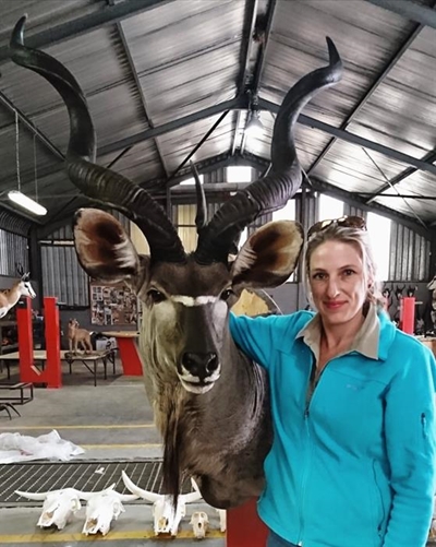 Marisa Verwey - Spiral Horn Taxidermy