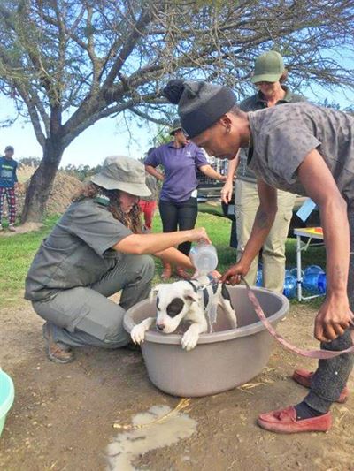 Kaws and Sanparks do it for the animals