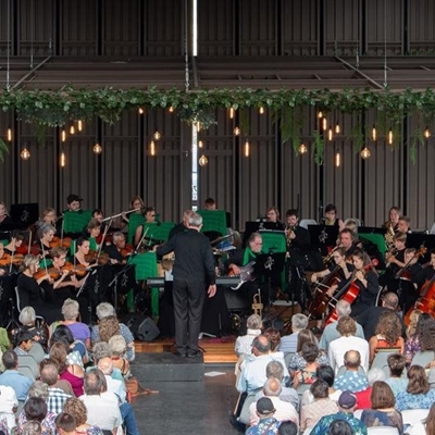 Weense walse en polkas met Viennese Delights