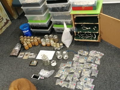Man nabbed for drugs worth R46 000