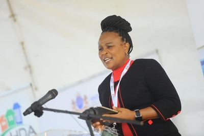 Constitutional law expert explains the role of public protector