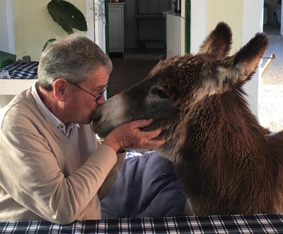 Teamwork saves Ed the donkey on North Street