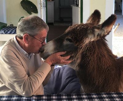 Teamwork saves Ed the donkey on North Street