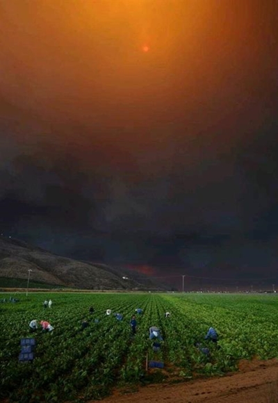 California fire reflects Southern Cape disasters