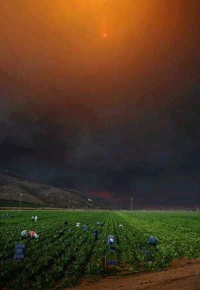 California fire reflects Southern Cape disasters