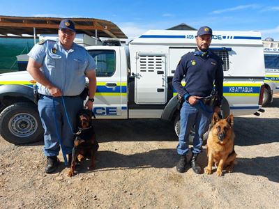 Polisiehonde kry inbrekers beet