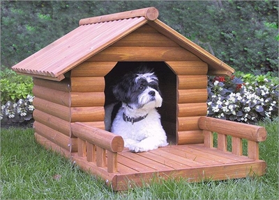 House rules for keeping pets in SA