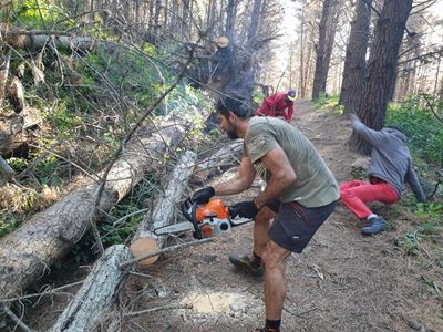Parkrun path cleared after strong wind