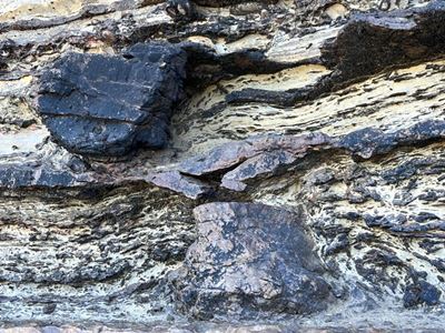 Geoloë kom soek dino-voetspore in Klein-Karoo