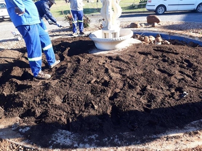 Busy Lizzy bly besig op Stilbaai
