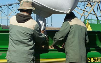 Drop in agri employment a cause for great concern
