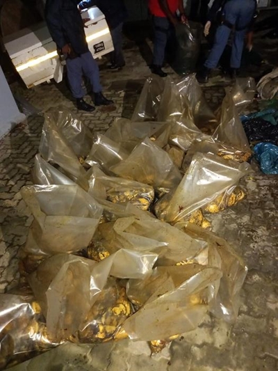 Big abalone bust in Plett