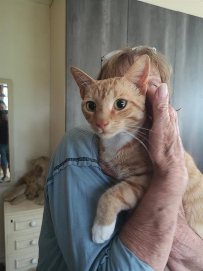 Curiosity didn't kill this little kitty