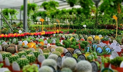 Nurseries may open, but not garden services