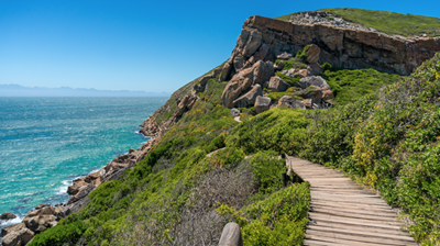 New Plett Trails app makes access to Garden Route trails easy