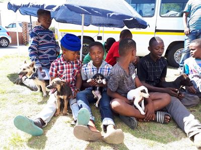 Puppies get more than just petting