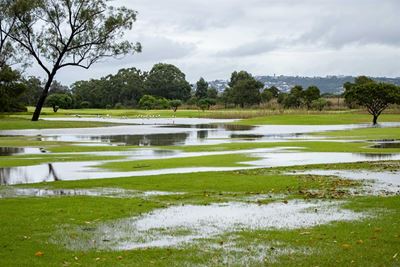 Heavy rains turn golf course into wetland