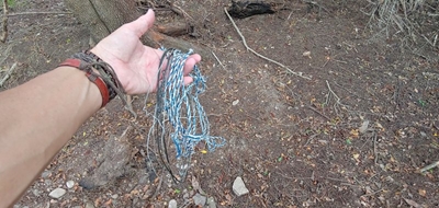 Keep a lookout for snares