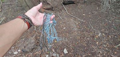 Keep a lookout for snares