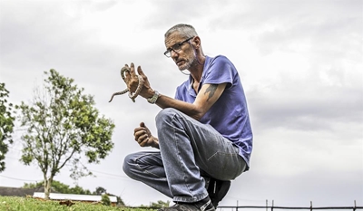 Onwettig om slange dood te maak