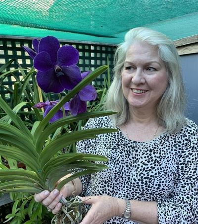 Orchid club blossoms