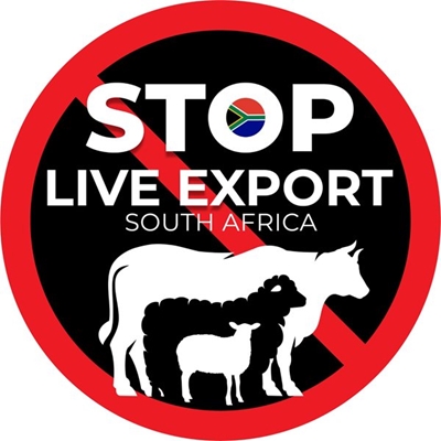 Stop live export South Africa and Compassion in World Farming Urges public response on Government’s draft Regulations to continue exporting live animals by sea